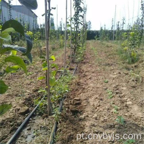 Produto preferido de pone de irrigação por gotejamento 16 MM